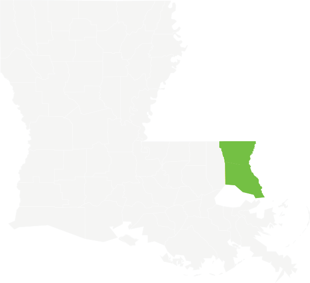 louisiana-county